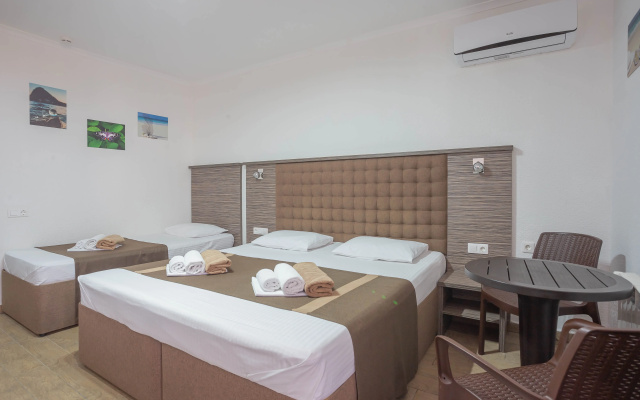 Отель Despina Family Hotel