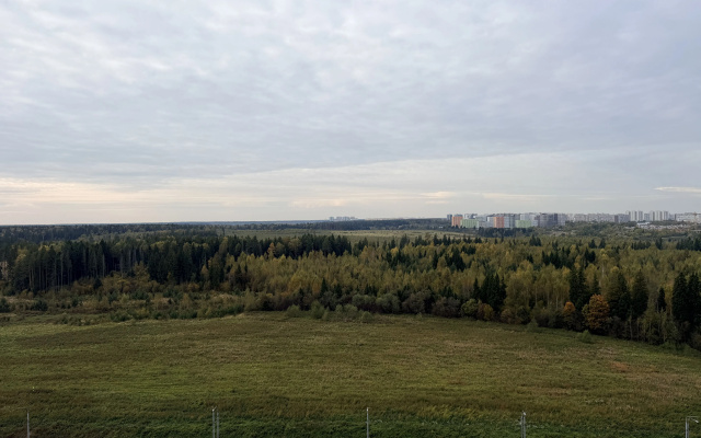 Апартаменты Рузинские дали