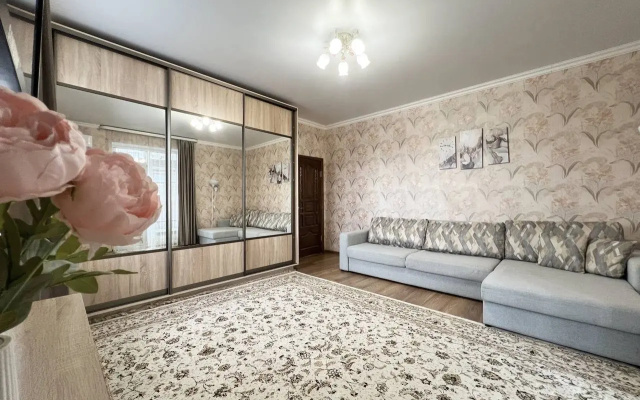 Квартира на Малой Садовой улице 20 (9)