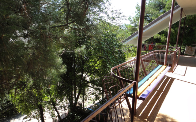 Flamingo Hostel