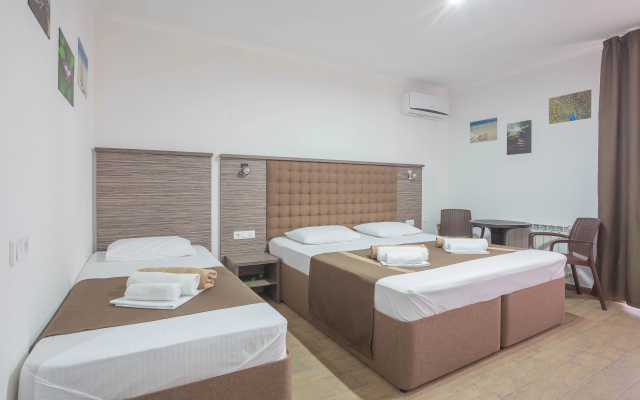Отель Despina Family Hotel