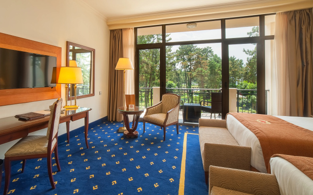 Отель Georgia Palace Hotel & SPA