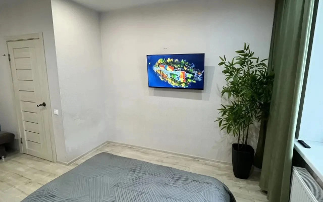 Квартира на Тентюковской 306