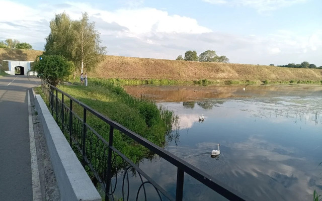Частный дом Возле Брестской крепости