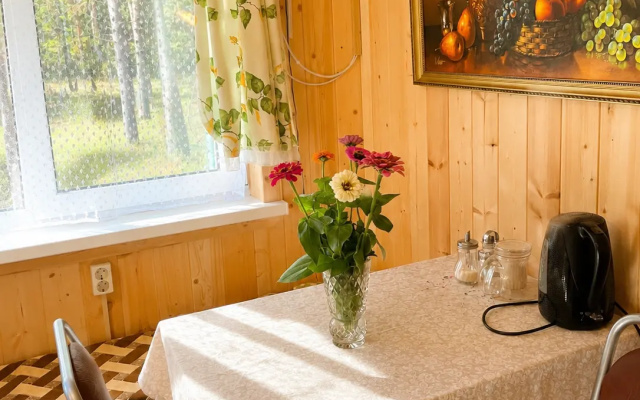 Гостевой дом у озера в лесу с wi-fi DreamHouse