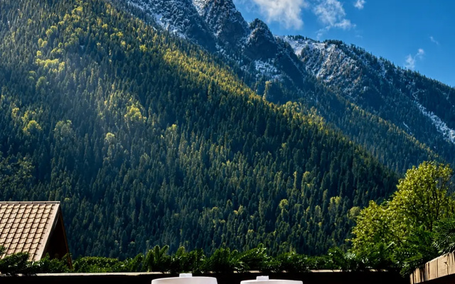 Гостевой дом Hayat Haus