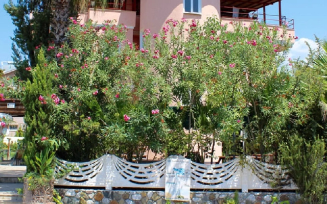 Tango Pension