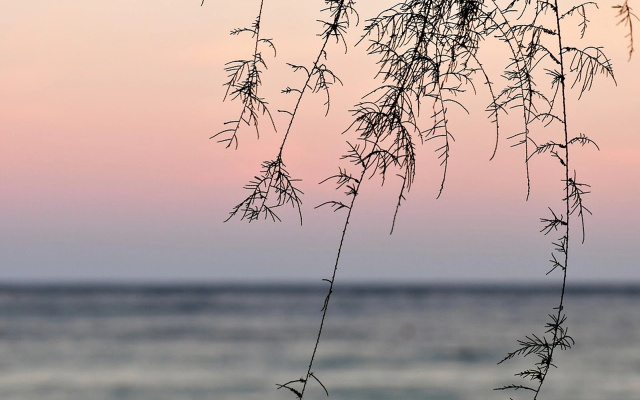 Отель Lito Beach