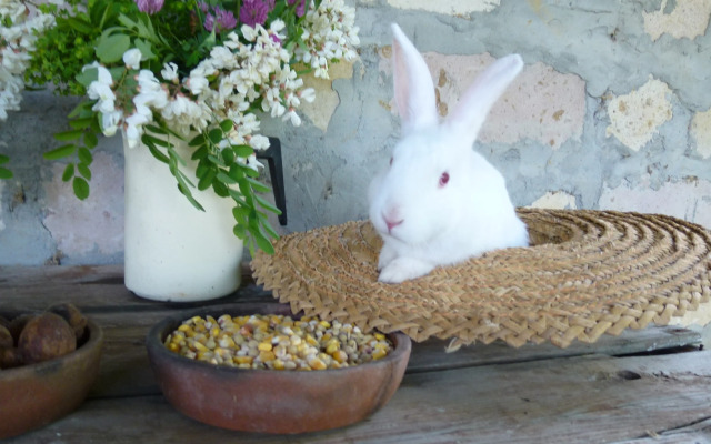 Гостевой Дом Country House Uliana