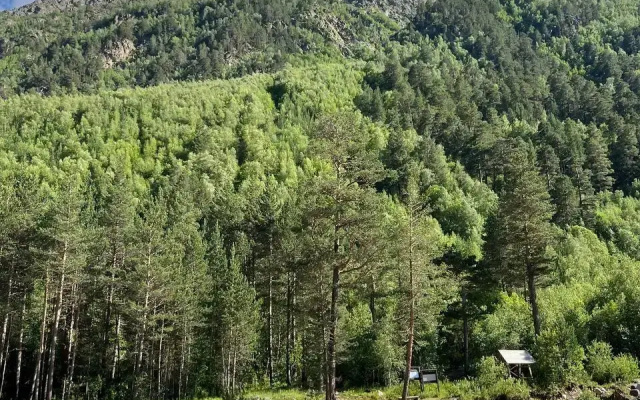 Гостевой Дом Алатау