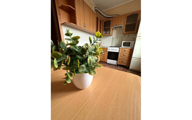 Квартира на Луначарского 29