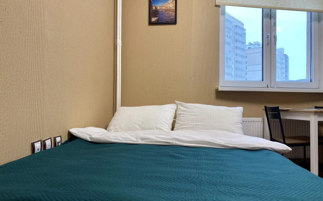 Квартира Просторная Евро2 2+2+1 у Невы и Центра