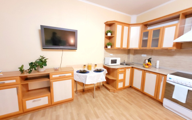 Komfortnaya Studiya V Tsentre Apartments
