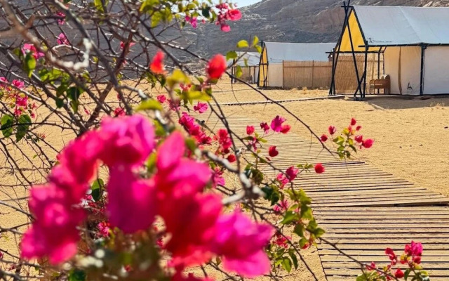 Отель 26 North Al Ula by Prime Hotels