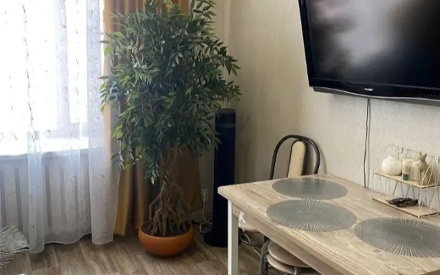 Квартира Трехкомнатная квартира у стадиона