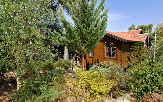 Шале Tree House Chalets