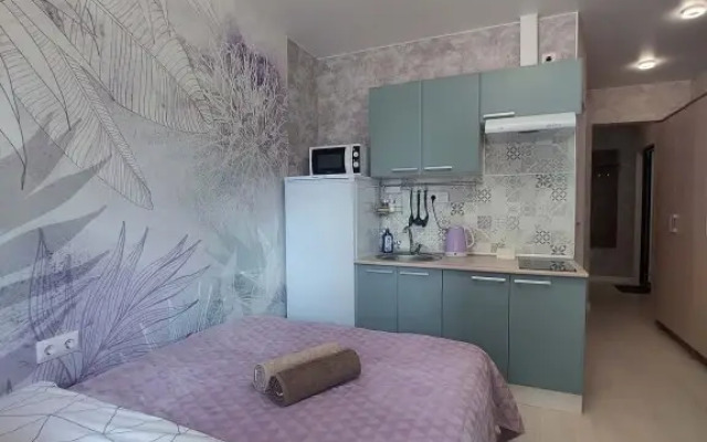 Апартаменты Violet Studio