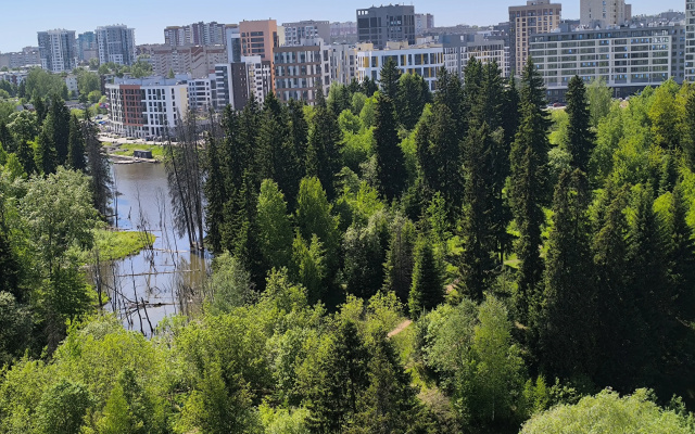 Квартира с видом на лес