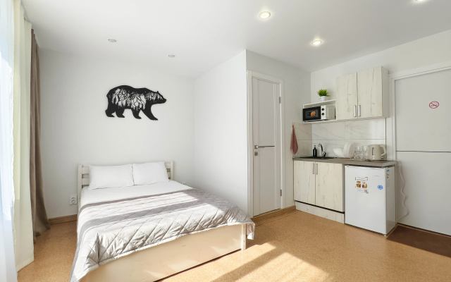 Квартира студия 1Весны