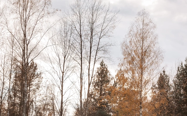 База отдыха Berloga Country Resort