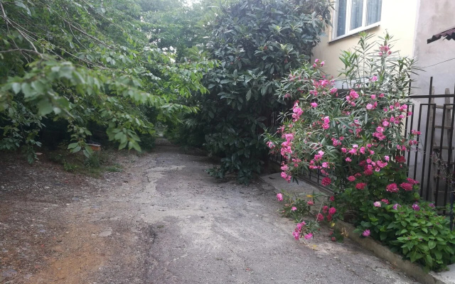Бунгало Лесная тишина