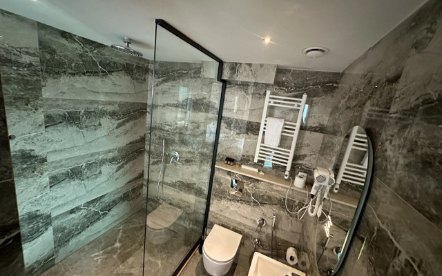 Deluxe Double room (full double bed) · Mit Tbilisi Hotel — photo 4