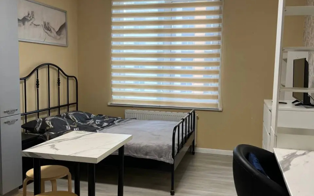 Апартаменты Студия Malina Apartment в ЖК Спутник