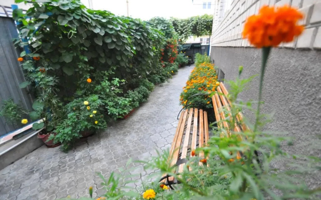 Anafoliya Guest House