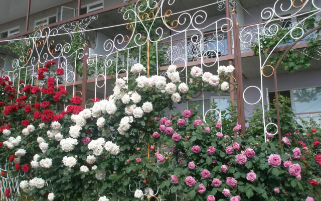Мини-отель TeremOK Inn