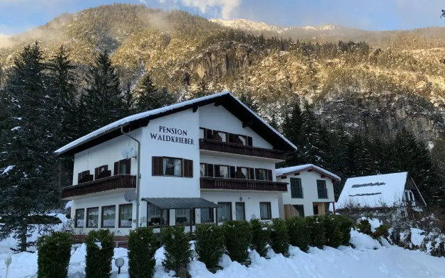 Мини-отель Pension Waldkrieber