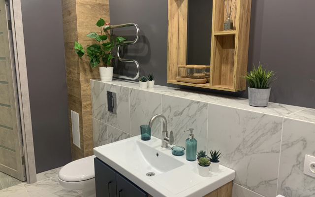 Апартаменты Argentum Home Дудинская 2В