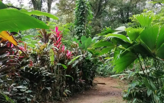 Хостел RioAgujitasEcoFarmandTours