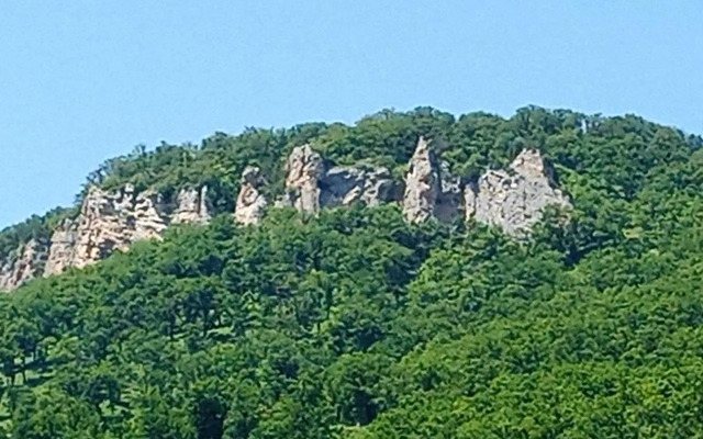 Алия