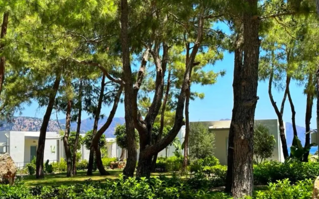 Отель Z-Villas Beach Hotel
