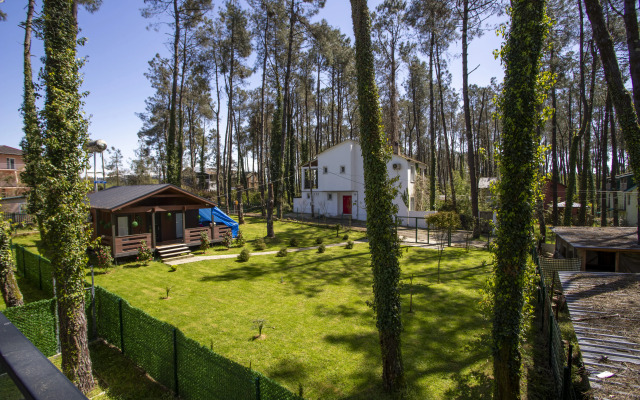 Частный дом Magnetoria 3 BR W Private Yard and BBQ