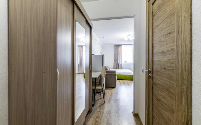 Апартаменты Dream House Спутников