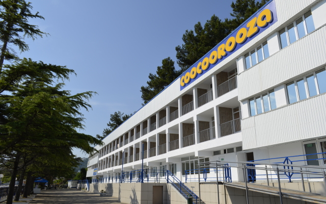 Гостиница Пансионат COOCOOROOZA в Сочи 2 отзыва об отеле, цены и фото номеров - забронировать гостиницу Пансионат COOCOOROOZA онлайн вид на фасад