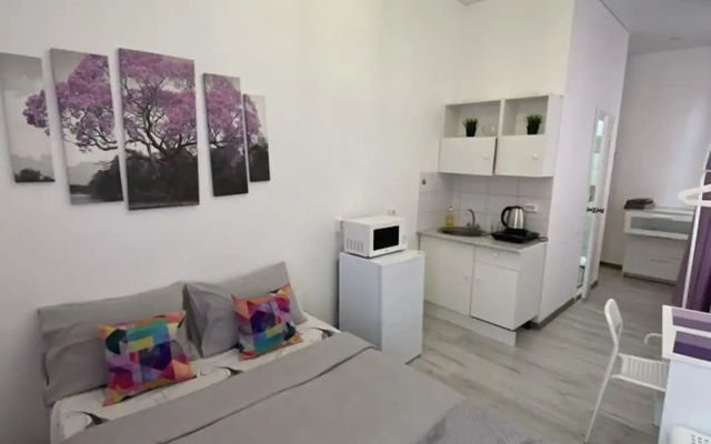 Квартира 4 в Газетном переулке, 62/1