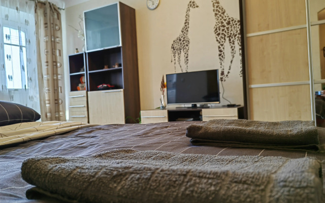 Квартира на Большевистской 41