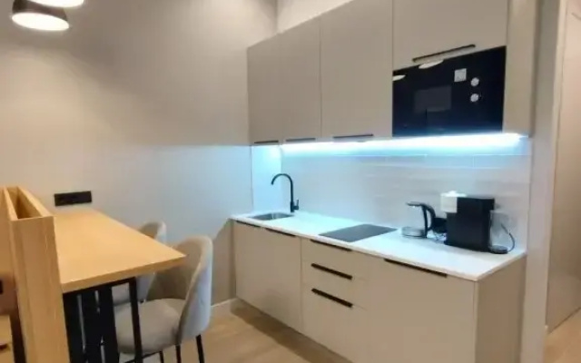 Апартаменты Vasilievsky Loft Studio 1
