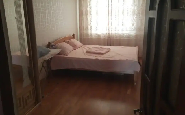 Квартира Дельфин СПБ