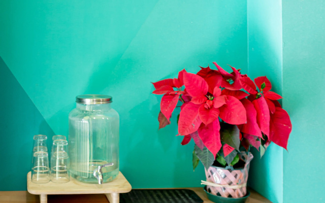 Хостел Funker Hostel