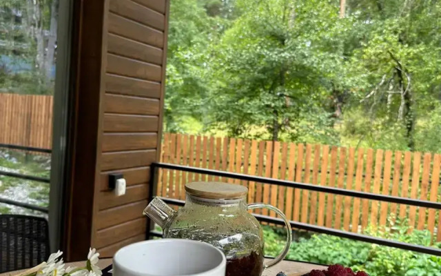 Вилла Елена