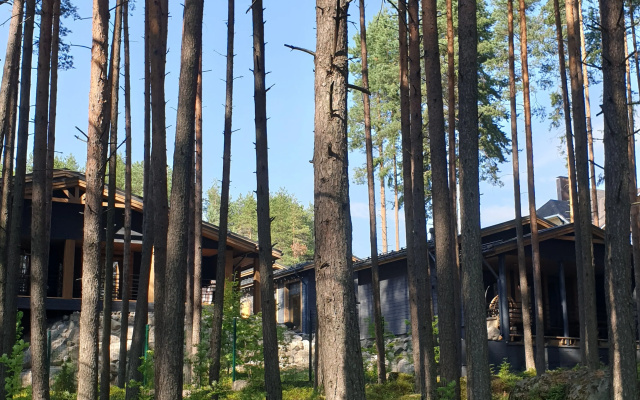 Частный дом в сосновом бору на берегу Онежского озера