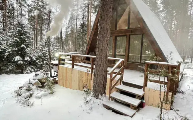 Частный дом Уютный дoм A-frame