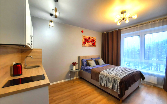Квартира Loft Studio на Летчика Ларюшина 2