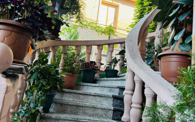 Grounds · Batumi — photo 18