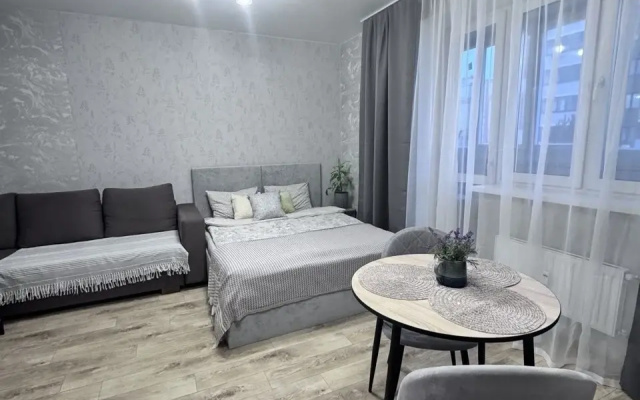 Квартира на Раушана Абдуллина 2/1