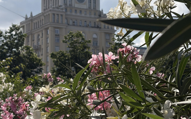 Гостиница Пекин