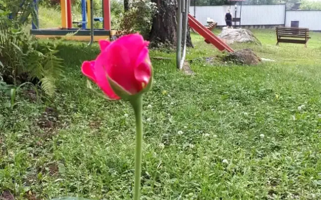 Гостевой дом Сказка